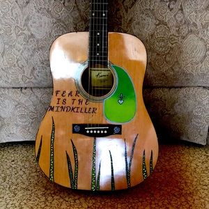 Custom painted Kansas Acoustic guitar